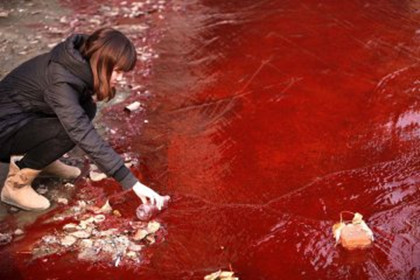 洛阳涧河受污染 河水变“血水